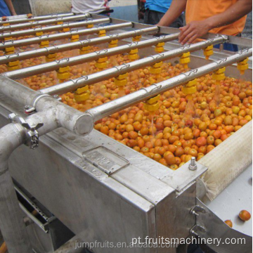 Máquinas de processamento de vegetais de fruto enlatado de qualidade
